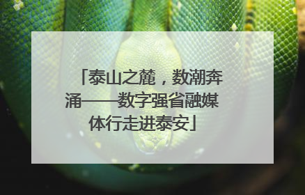 泰山之麓，数潮奔涌——数字强省融媒体行走进泰安