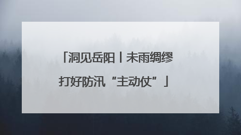 洞见岳阳丨未雨绸缪 打好防汛“主动仗”