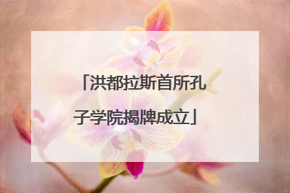 洪都拉斯首所孔子学院揭牌成立