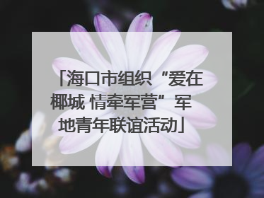 海口市组织“爱在椰城 情牵军营”军地青年联谊活动