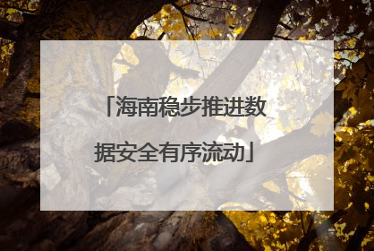 海南稳步推进数据安全有序流动