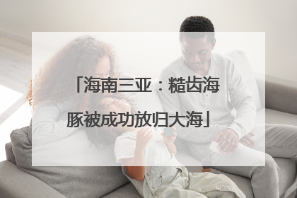海南三亚：糙齿海豚被成功放归大海