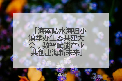 海南陵水海归小镇举办生态共建大会，数智赋能产业共创出海新未来