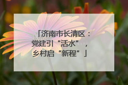 济南市长清区：党建引“活水”，乡村启“新程”