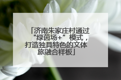 济南朱家庄村通过“绿茵场+”模式，打造独具特色的文体旅融合样板