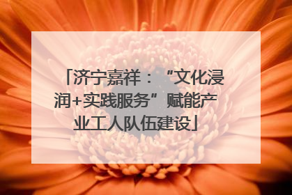济宁嘉祥：“文化浸润+实践服务”赋能产业工人队伍建设