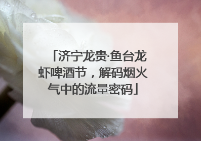 济宁龙贵·鱼台龙虾啤酒节，解码烟火气中的流量密码