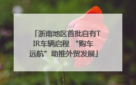 浙南地区首批自有TIR车辆启程 “购车远航”助推外贸发展