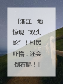 浙江一地惊现“双头蛇”！村民吓懵：还会倒着爬！
