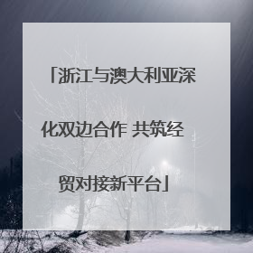 浙江与澳大利亚深化双边合作 共筑经贸对接新平台