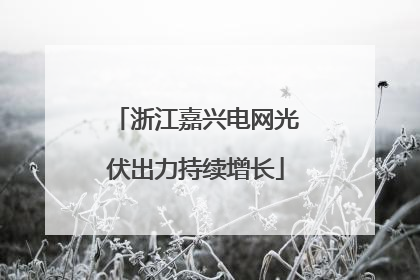 浙江嘉兴电网光伏出力持续增长