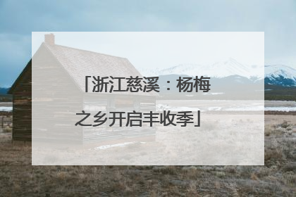 浙江慈溪：杨梅之乡开启丰收季
