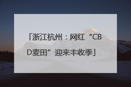 浙江杭州：网红“CBD麦田”迎来丰收季