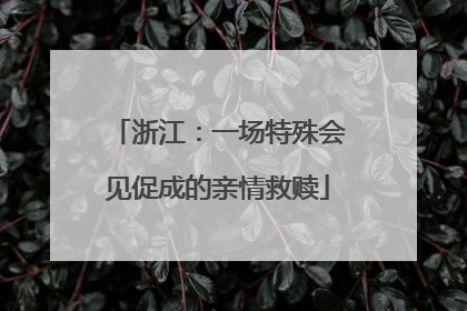 浙江：一场特殊会见促成的亲情救赎
