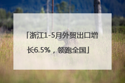 浙江1-5月外贸出口增长6.5%，领跑全国