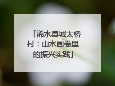 浠水县城太桥村：山水画卷里的振兴实践