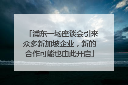 浦东一场座谈会引来众多新加坡企业，新的合作可能也由此开启