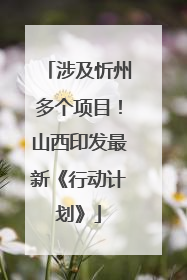 涉及忻州多个项目！山西印发最新《行动计划》