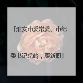淮安市委常委、市纪委书记岳岭，履新职