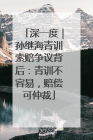 深一度｜孙继海青训索赔争议背后：青训不容易，赔偿可仲裁