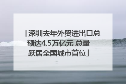 深圳去年外贸进出口总额达4.5万亿元 总量跃居全国城市首位