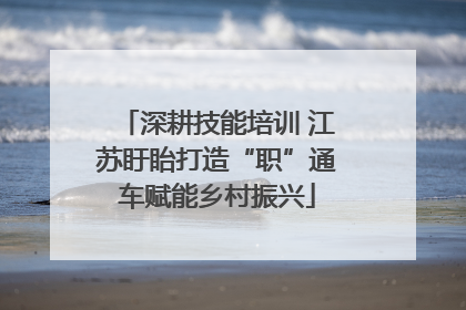 深耕技能培训 江苏盱眙打造“职”通车赋能乡村振兴