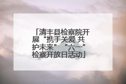 清丰县检察院开展“携手关爱 共护未来”“六一”检察开放日活动