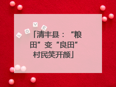 清丰县：“粮田”变“良田”村民笑开颜