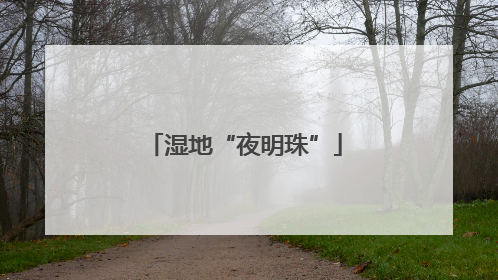 湿地“夜明珠”