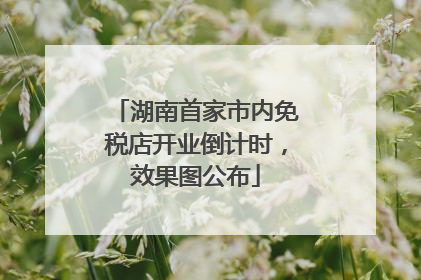 湖南首家市内免税店开业倒计时，效果图公布