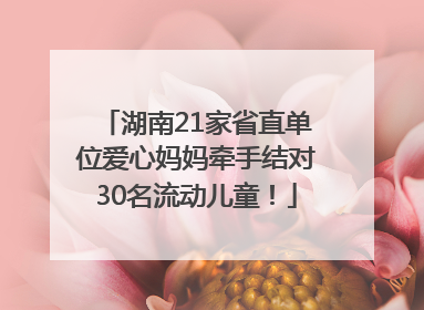 湖南21家省直单位爱心妈妈牵手结对30名流动儿童！