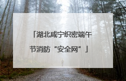 湖北咸宁织密端午节消防“安全网”