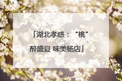 湖北孝感：“桃”醉盛夏 味美杨店