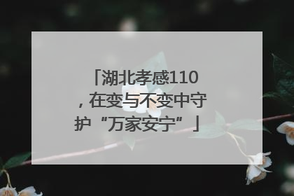 湖北孝感110，在变与不变中守护“万家安宁”