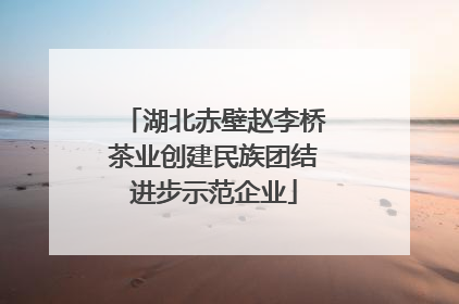 湖北赤壁赵李桥茶业创建民族团结进步示范企业