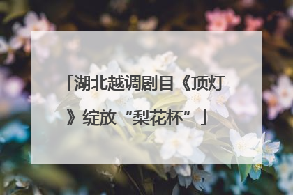 湖北越调剧目《顶灯》绽放“梨花杯”