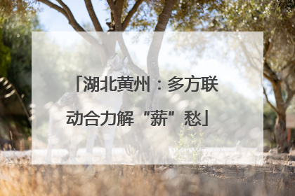 湖北黄州：多方联动合力解“薪”愁