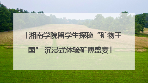 湘南学院留学生探秘“矿物王国” 沉浸式体验矿博盛宴