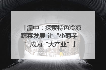 湟中：探索特色冷凉蔬菜发展 让“小菊芋”成为“大产业”