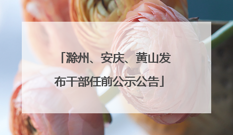 滁州、安庆、黄山发布干部任前公示公告