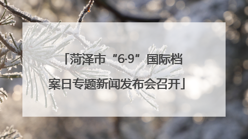 菏泽市“6·9”国际档案日专题新闻发布会召开