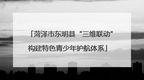 菏泽市东明县“三维联动”构建特色青少年护航体系