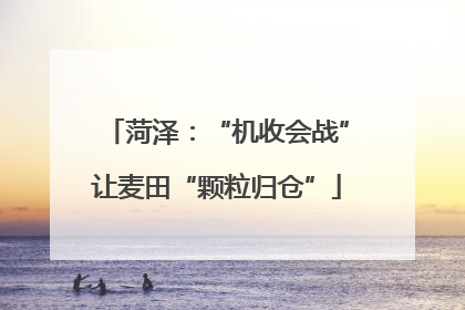 菏泽：“机收会战”让麦田“颗粒归仓”