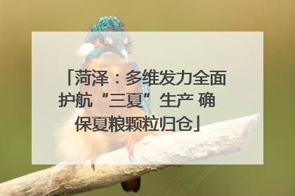 菏泽：多维发力全面护航“三夏”生产 确保夏粮颗粒归仓