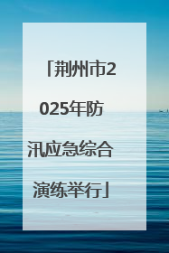 荆州市2025年防汛应急综合演练举行