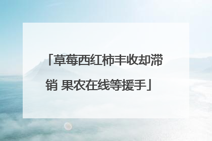 草莓西红柿丰收却滞销 果农在线等援手