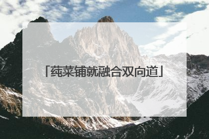 莼菜铺就融合双向道
