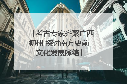考古专家齐聚广西柳州 探讨南方史前文化发展脉络