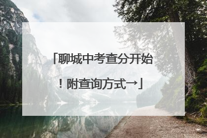聊城中考查分开始！附查询方式→