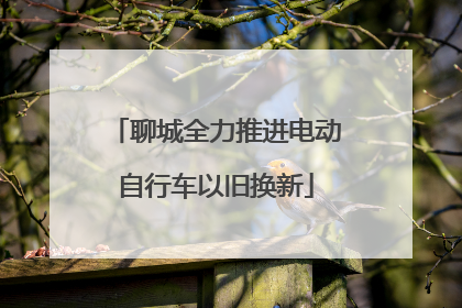 聊城全力推进电动自行车以旧换新
